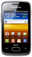 Ремонт Samsung galaxy y duos s6102 в Королёве 